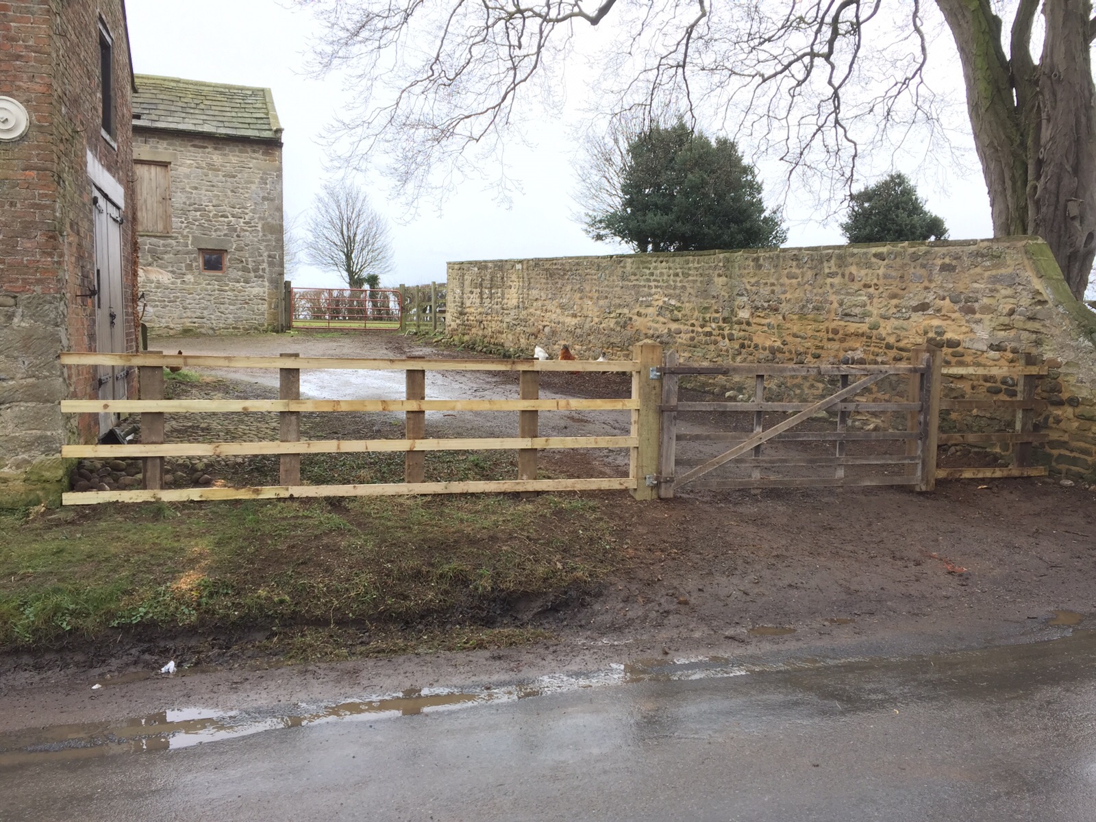 Farm fence and gate